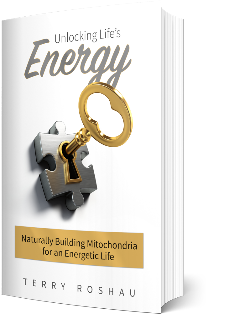 Unlocking Life's Energy eBook